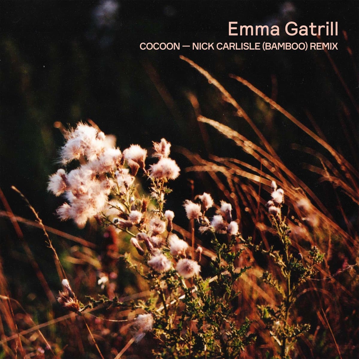Cocoon (Nick Carlisle remix)