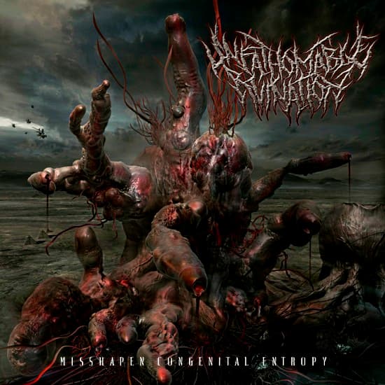Misshapen Congenital Entropy