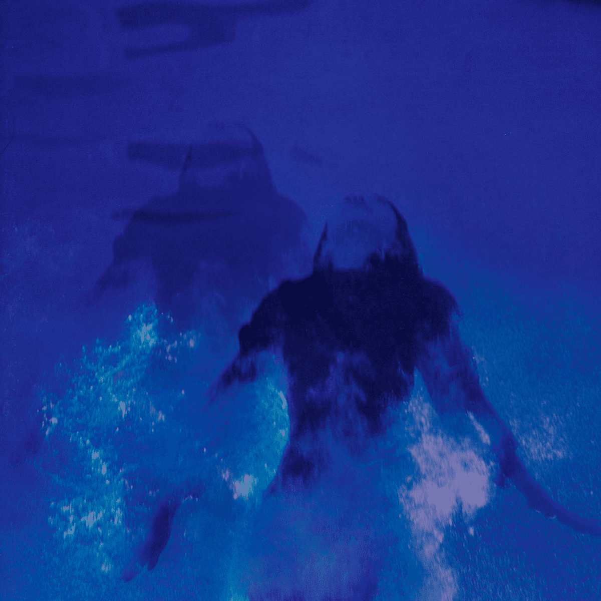 深夜の水泳 (midnight swimming)