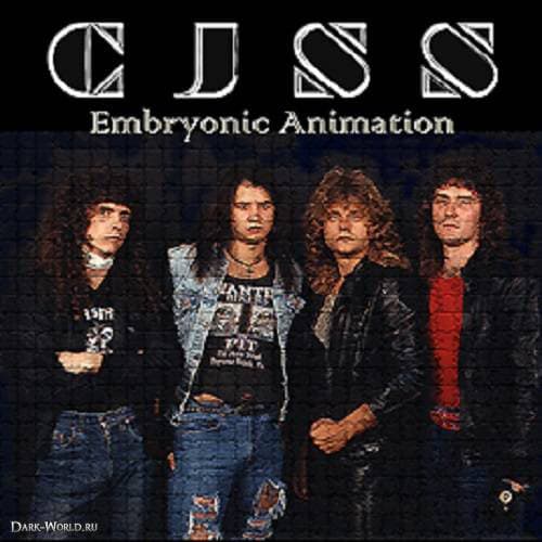 Embryonic Animation