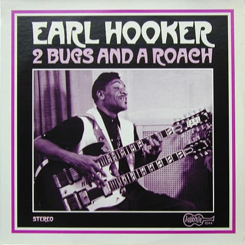 Two Bugs and a Roach