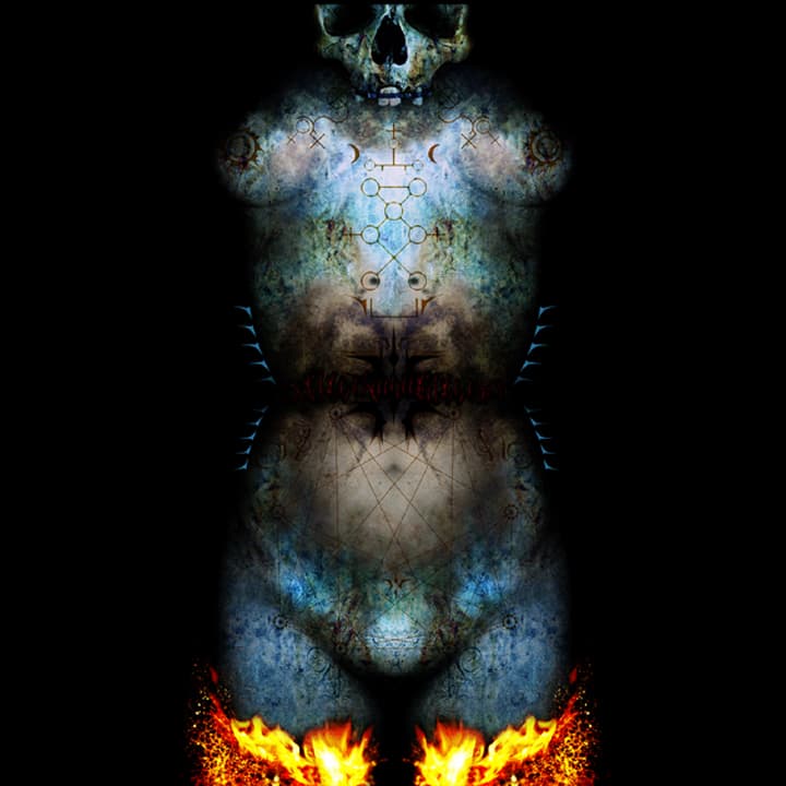 A Constellation of Skin
