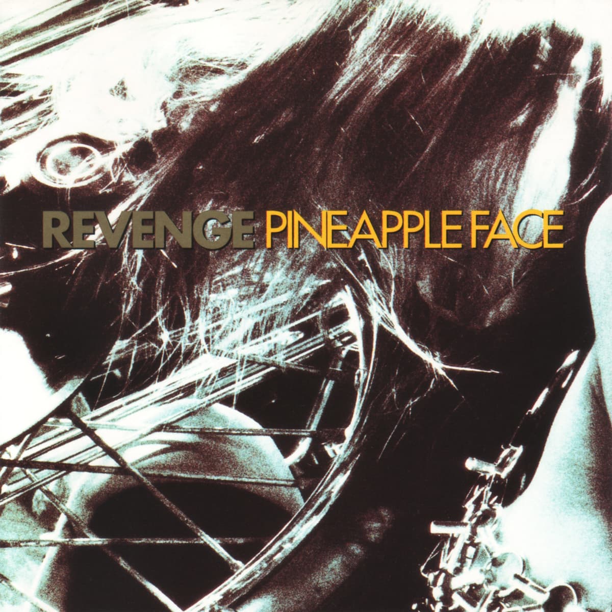 Pineapple Face