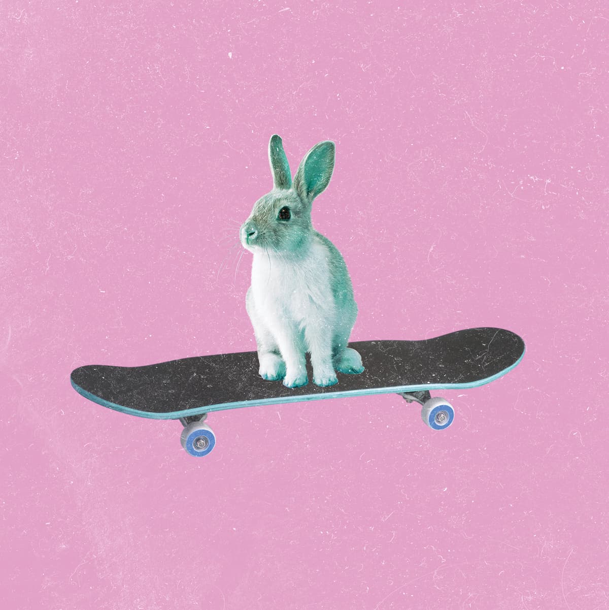 Curious Alice / It's Very Sunny