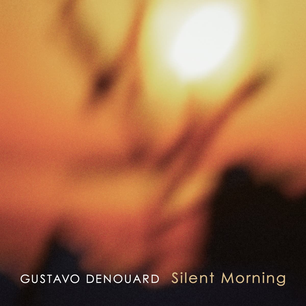 Silent Morning