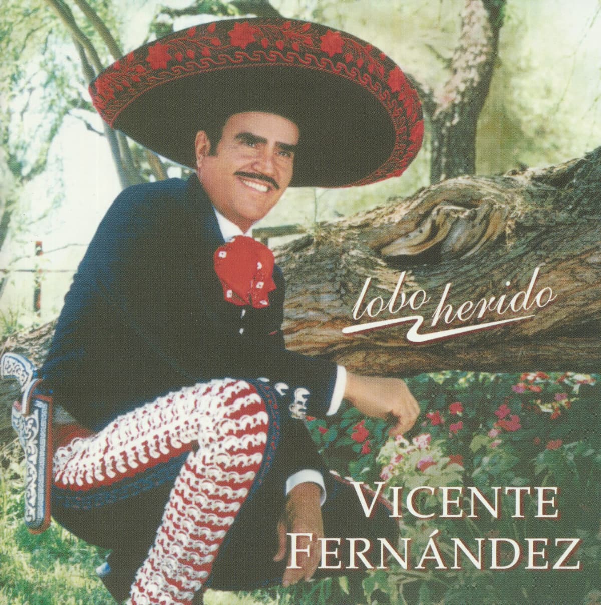 Lobo herido