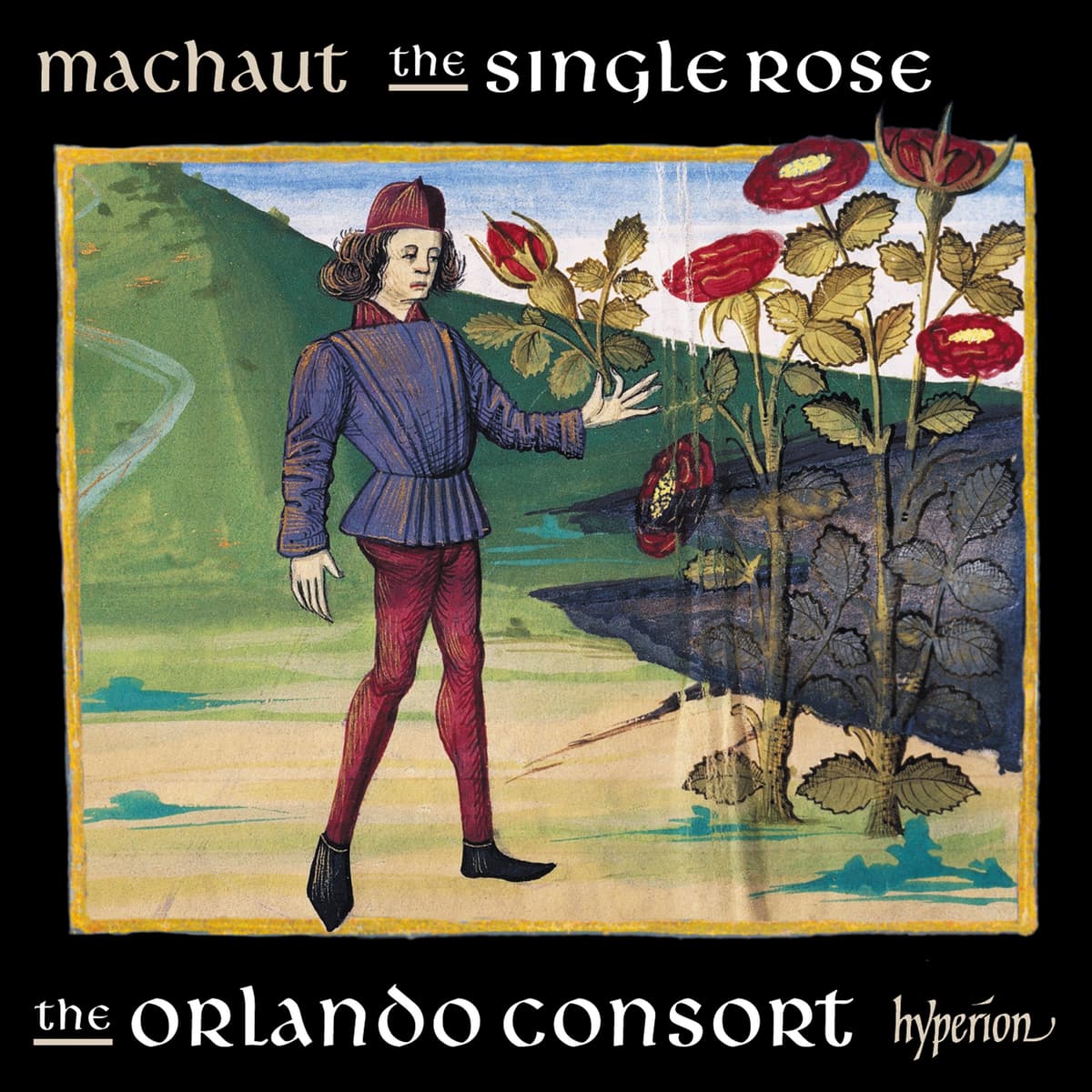 The Single Rose