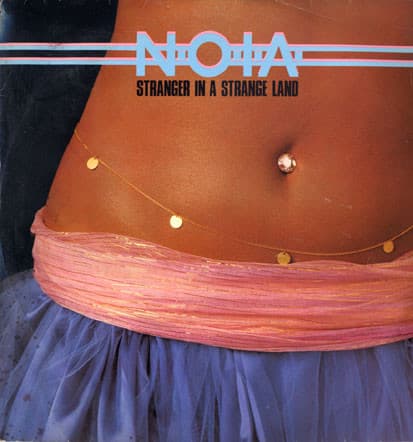 Stranger in a Strange Land