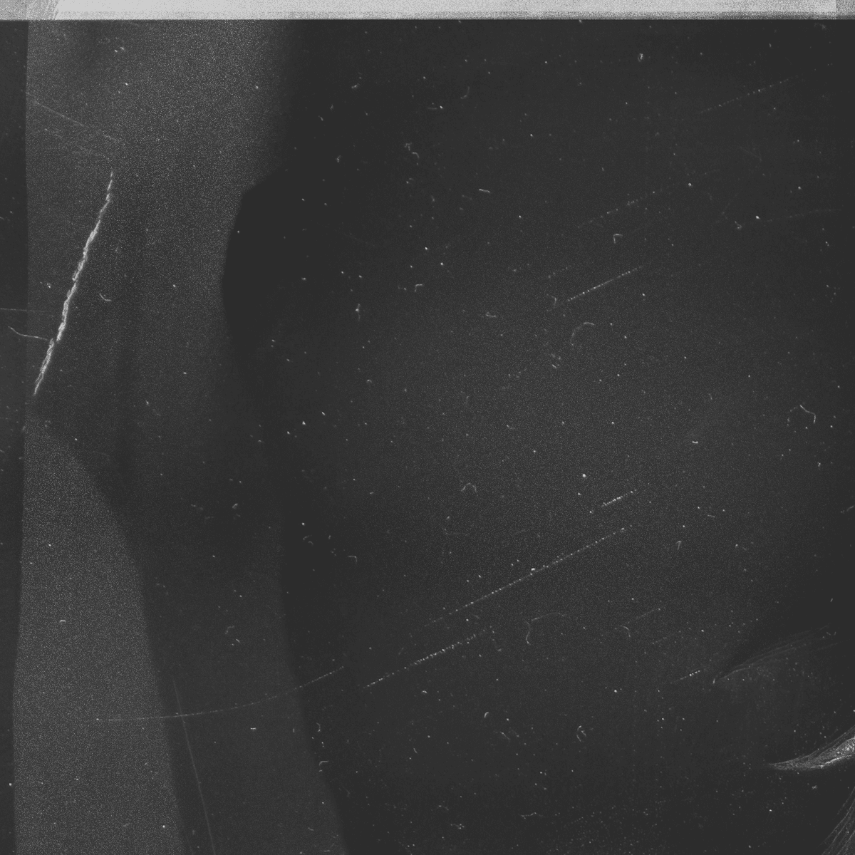 Perplexor