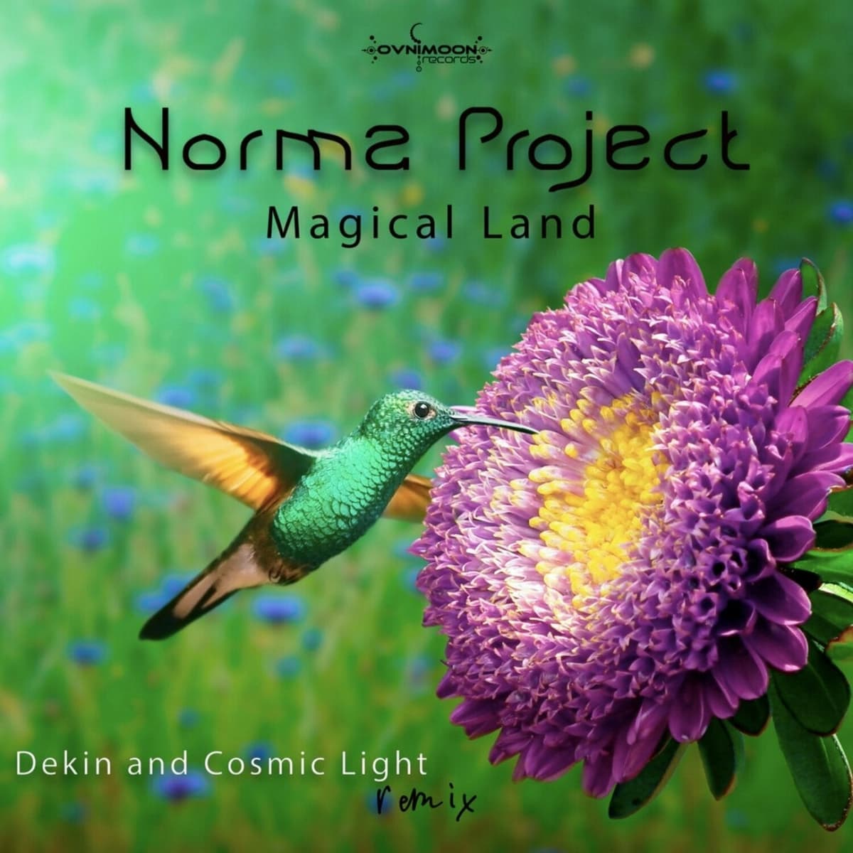 Magical Land (Dekin and Cosmic Light remix)