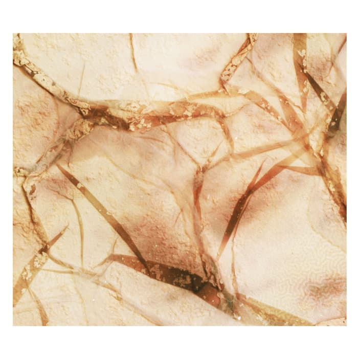 Tectonic Particles