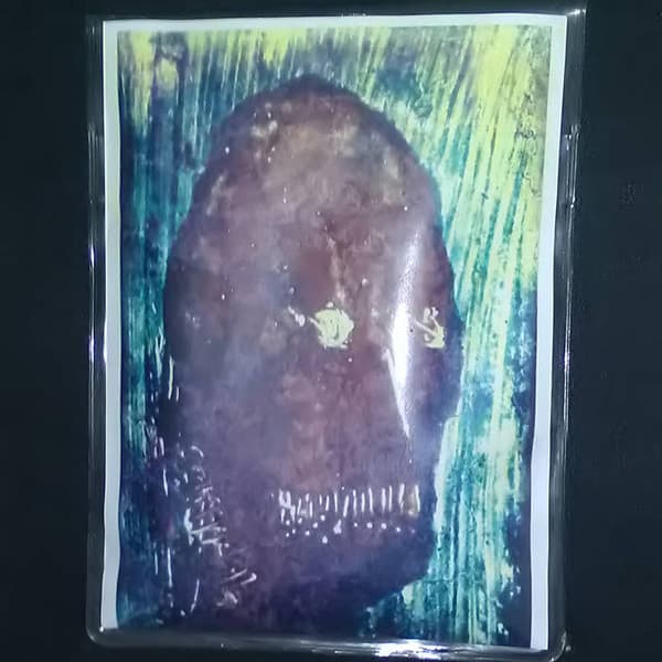 Shapshifter