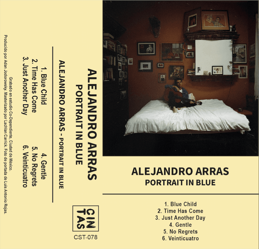Portrait in Blue