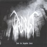From the Forgotten Forest