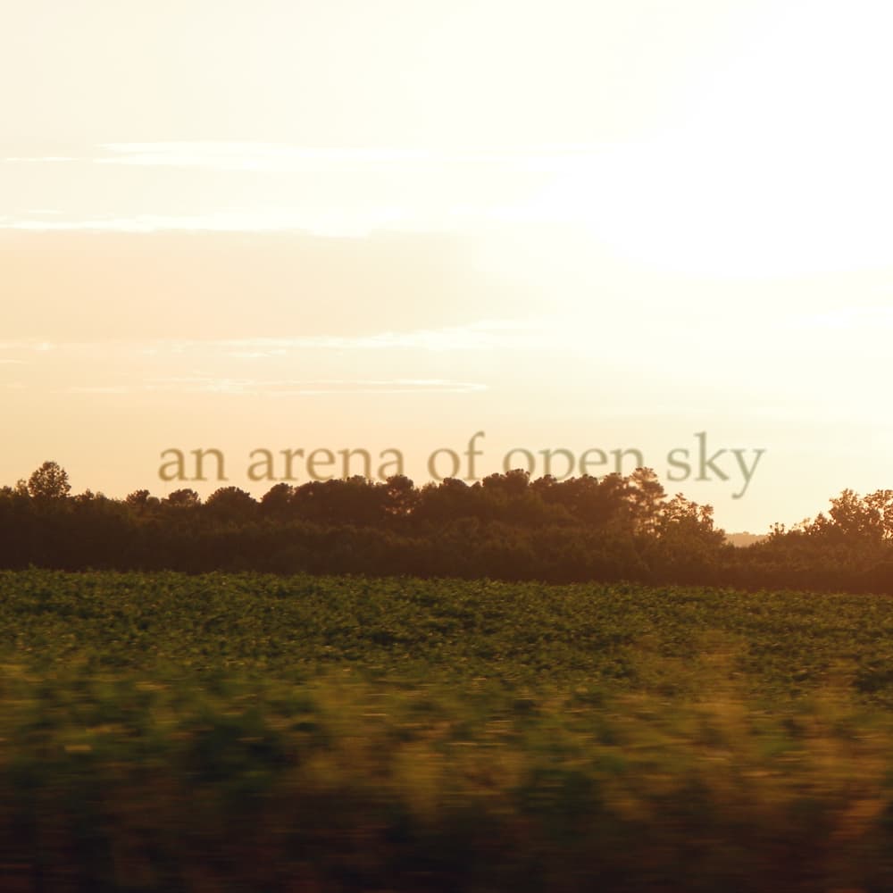An Arena of Open Sky