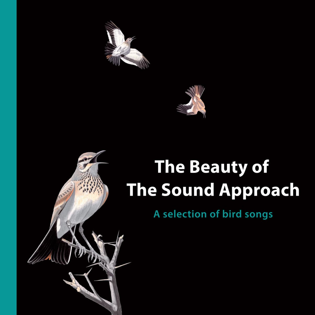 The Beauty of The Sound Approach