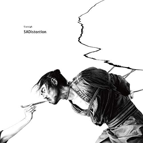 SADistortion
