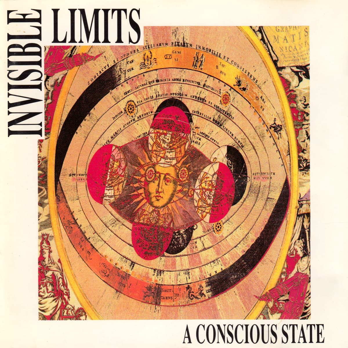 A Conscious State