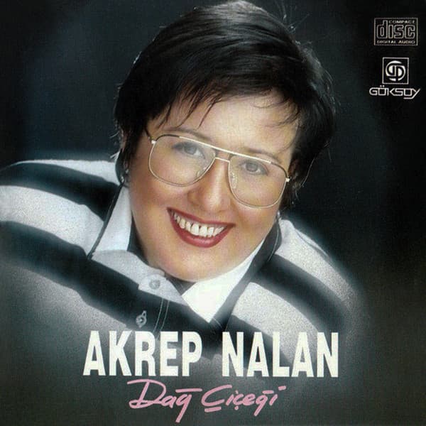 Dağ Çiçeği