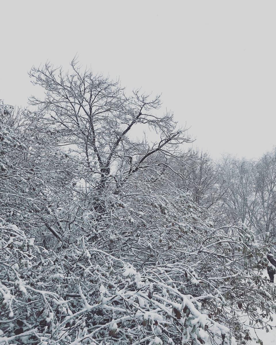 Bleak Mid Winter