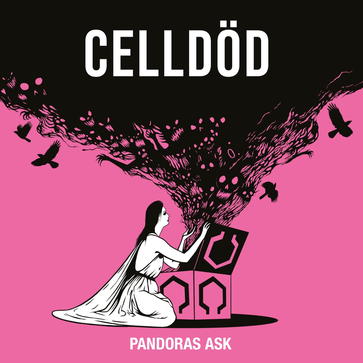 Pandoras ask