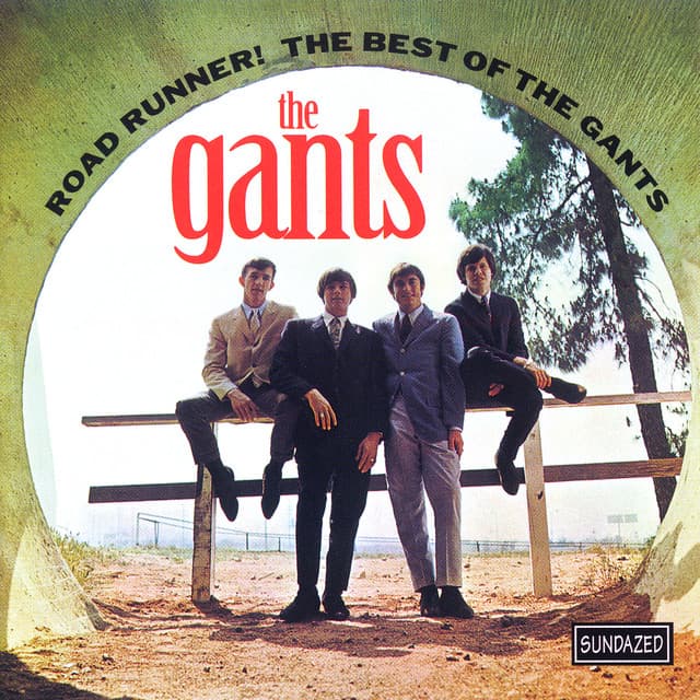 Road Runner! The Best of the Gants