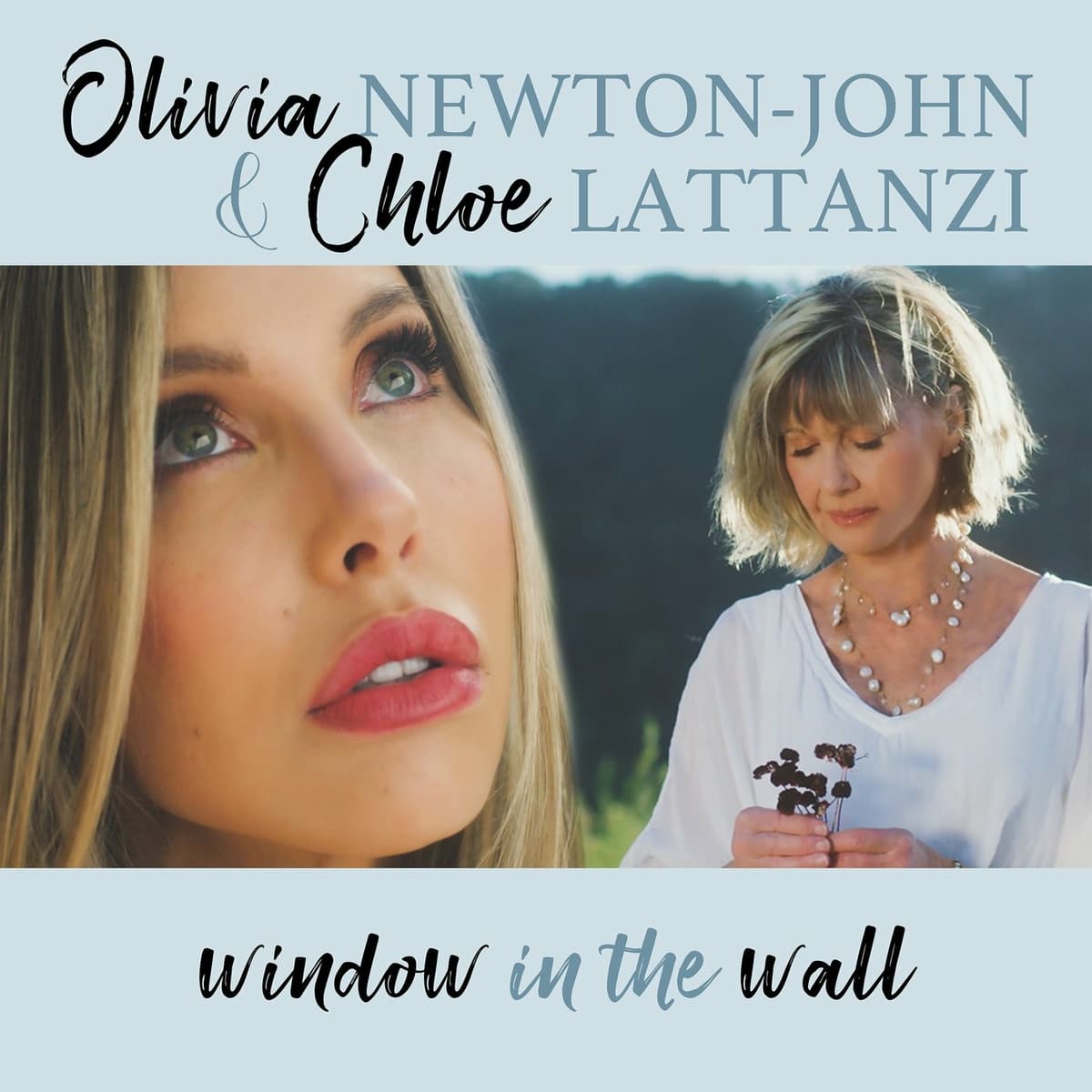 Window in the Wall