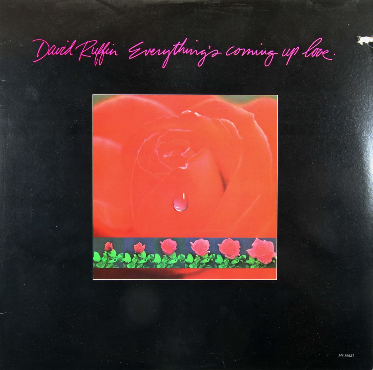 Everything’s Coming Up Love