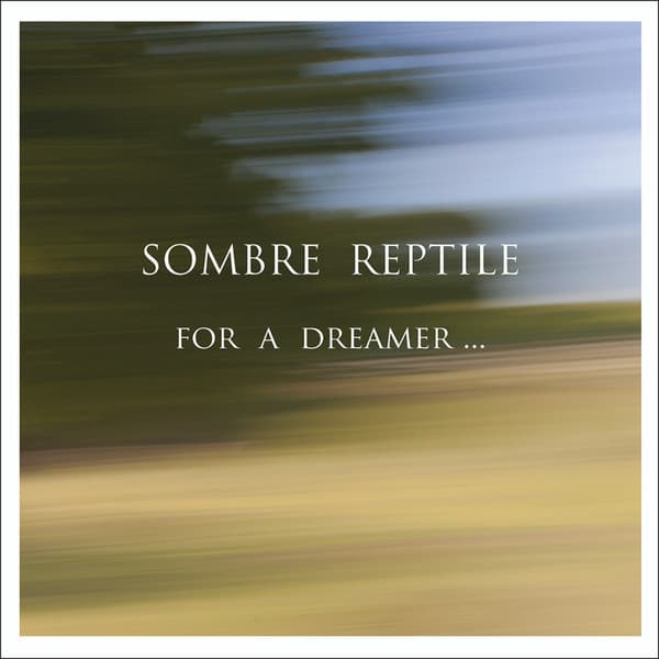 For a Dreamer…