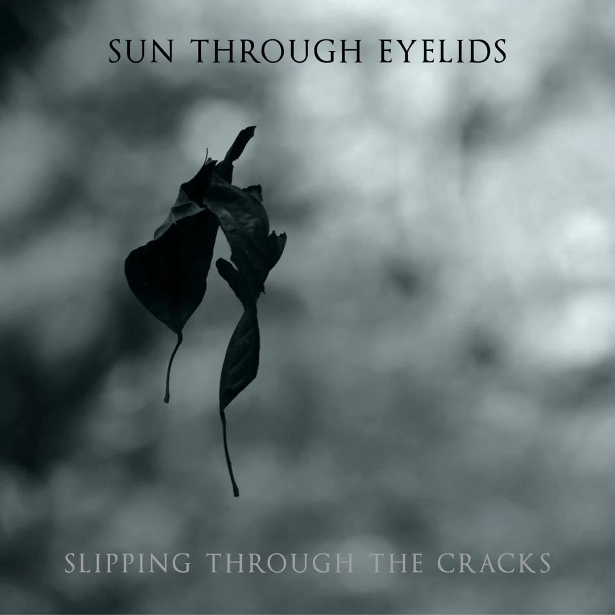 Slipping Through The Cracks