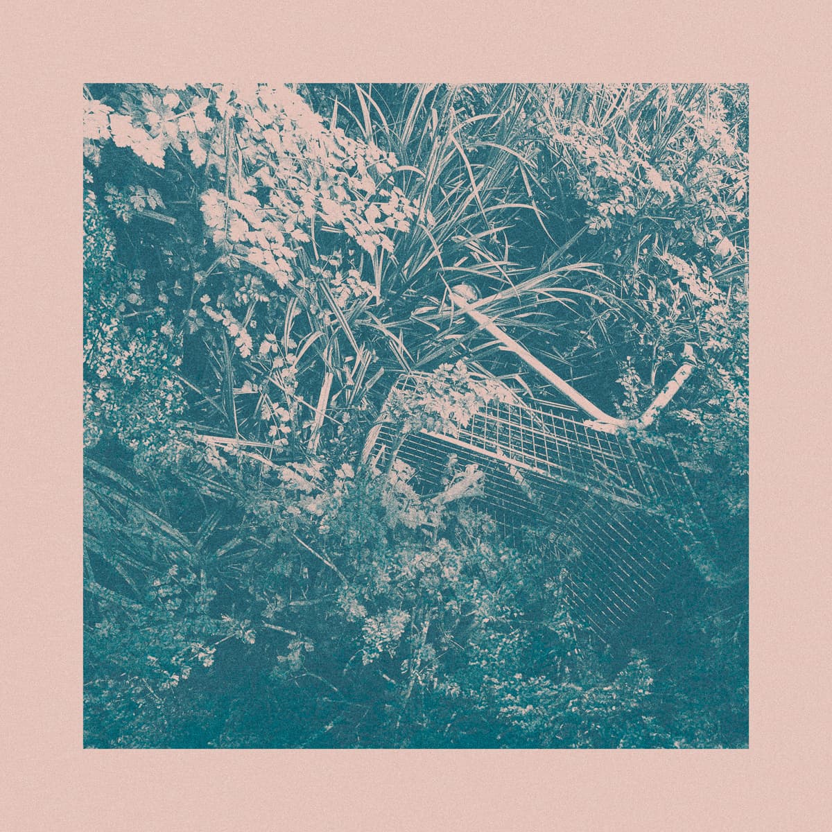 Walk in the Forest Acid