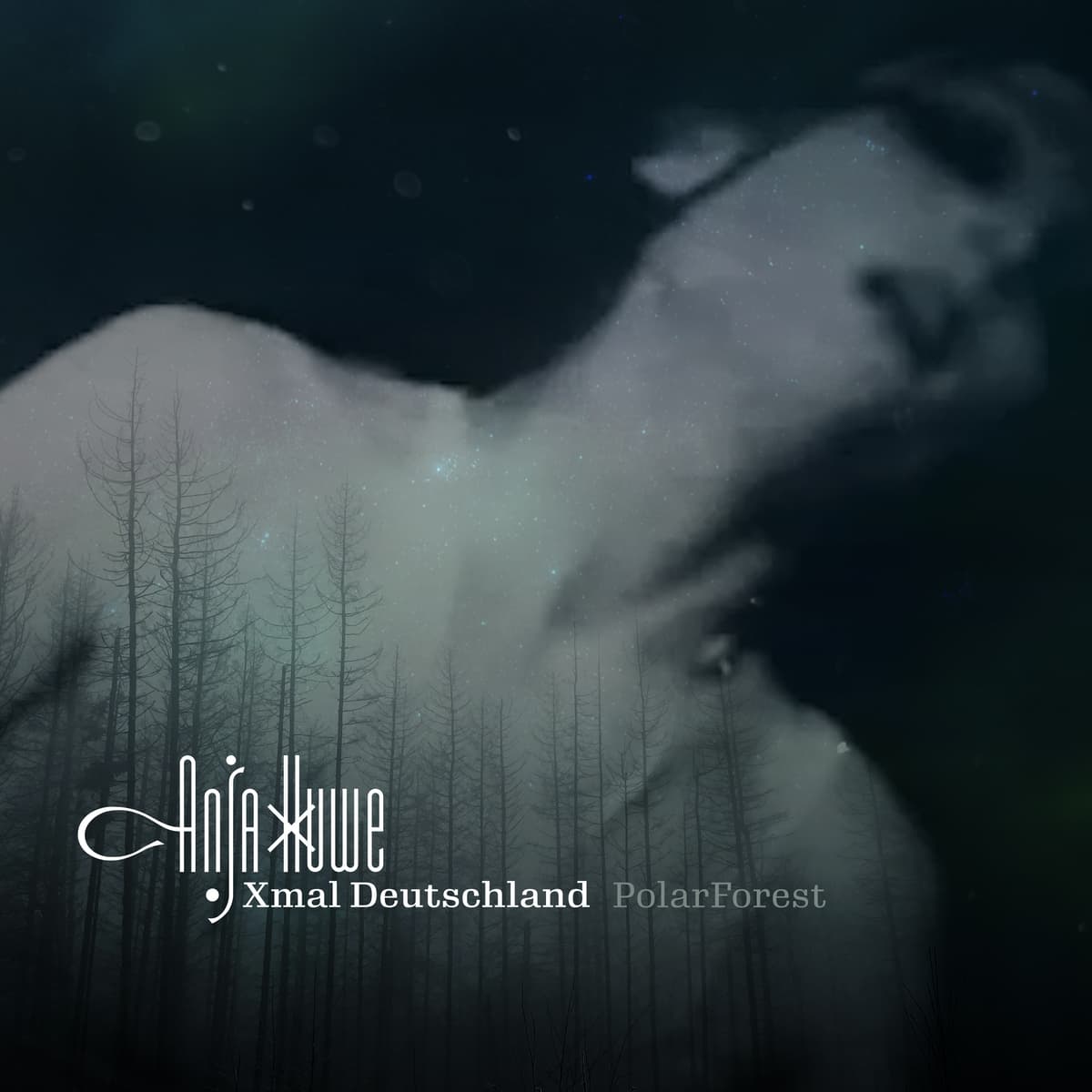 PolarForest