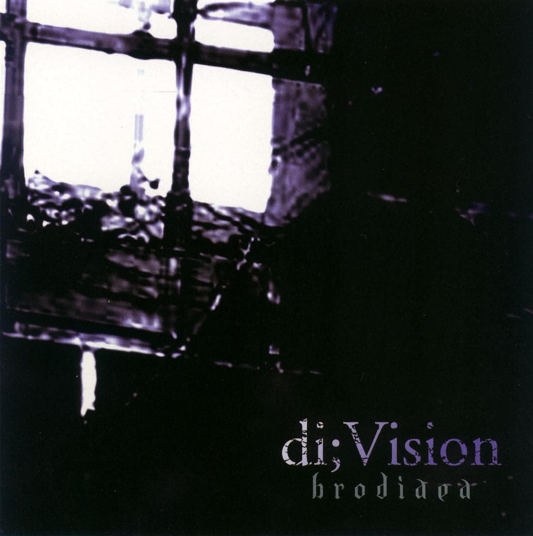di;Vision