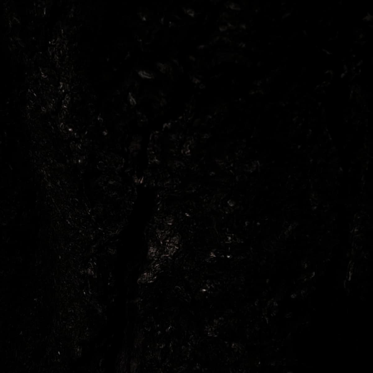 Hiding Behind the Snag