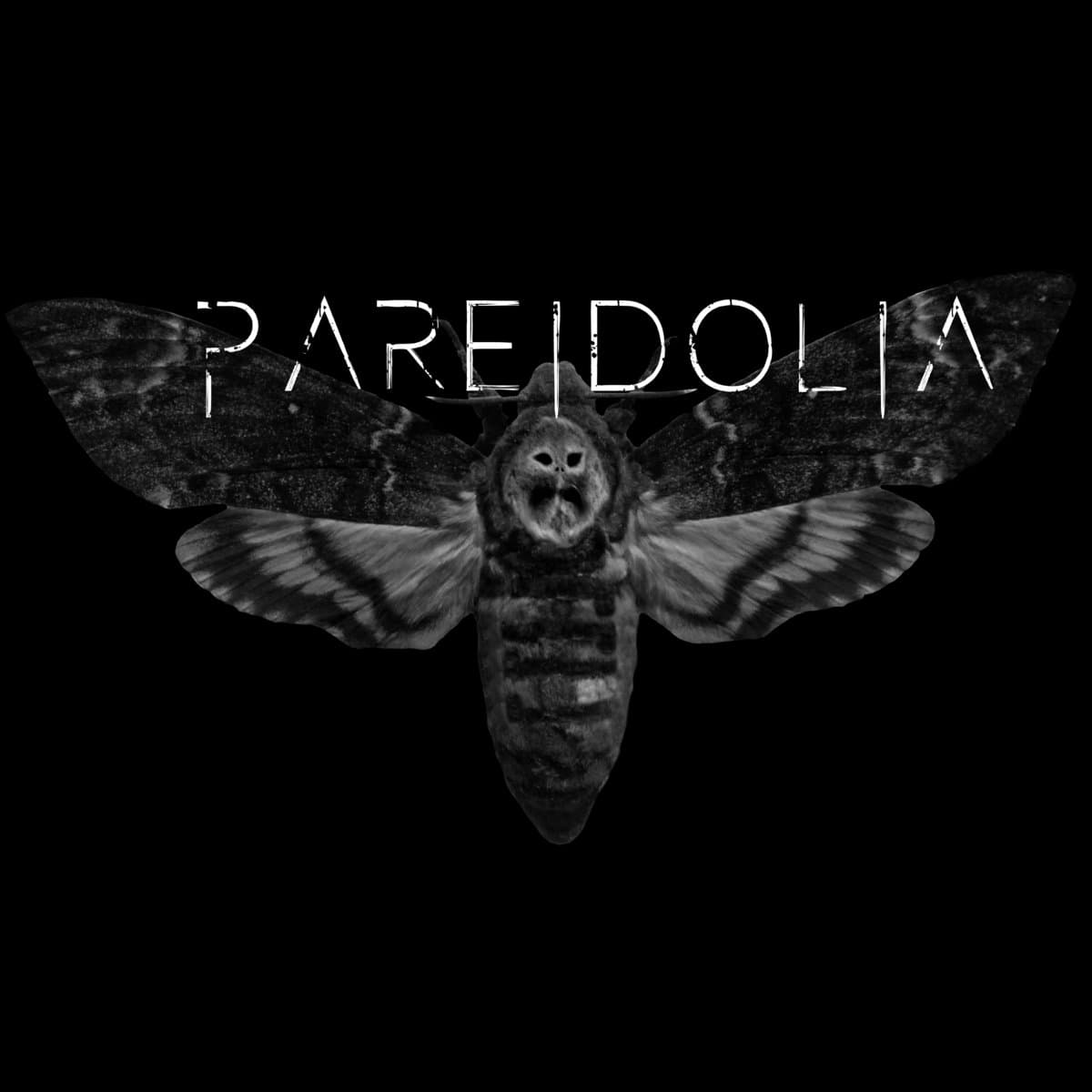 Pareidolia