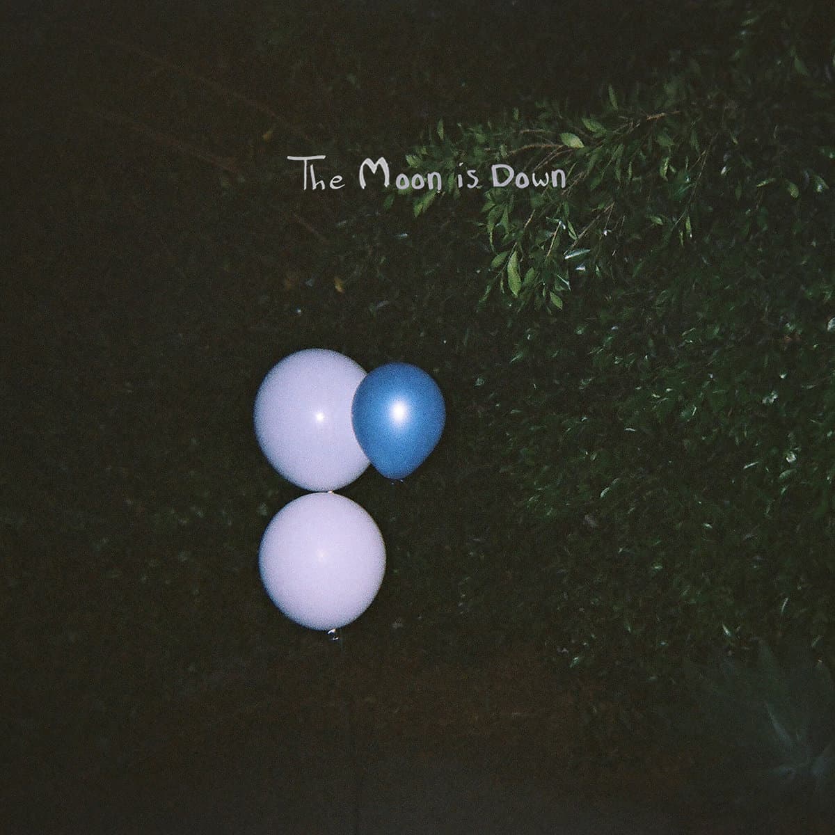 The Moon is Down
