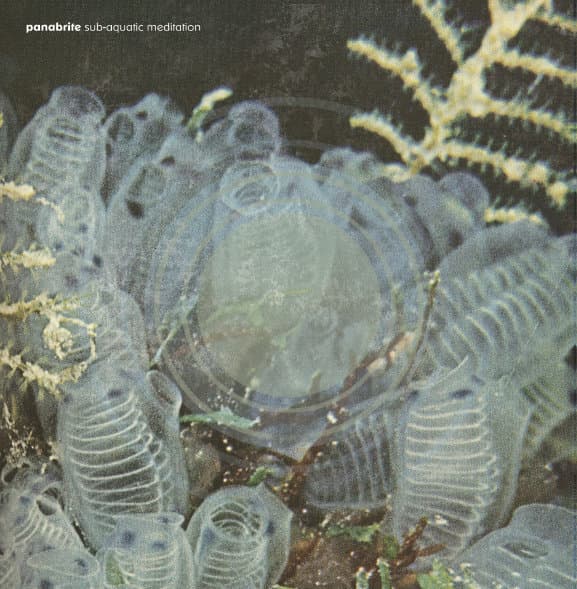 Sub‐Aquatic Meditation