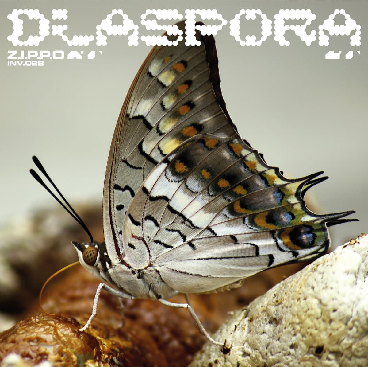 Diaspora