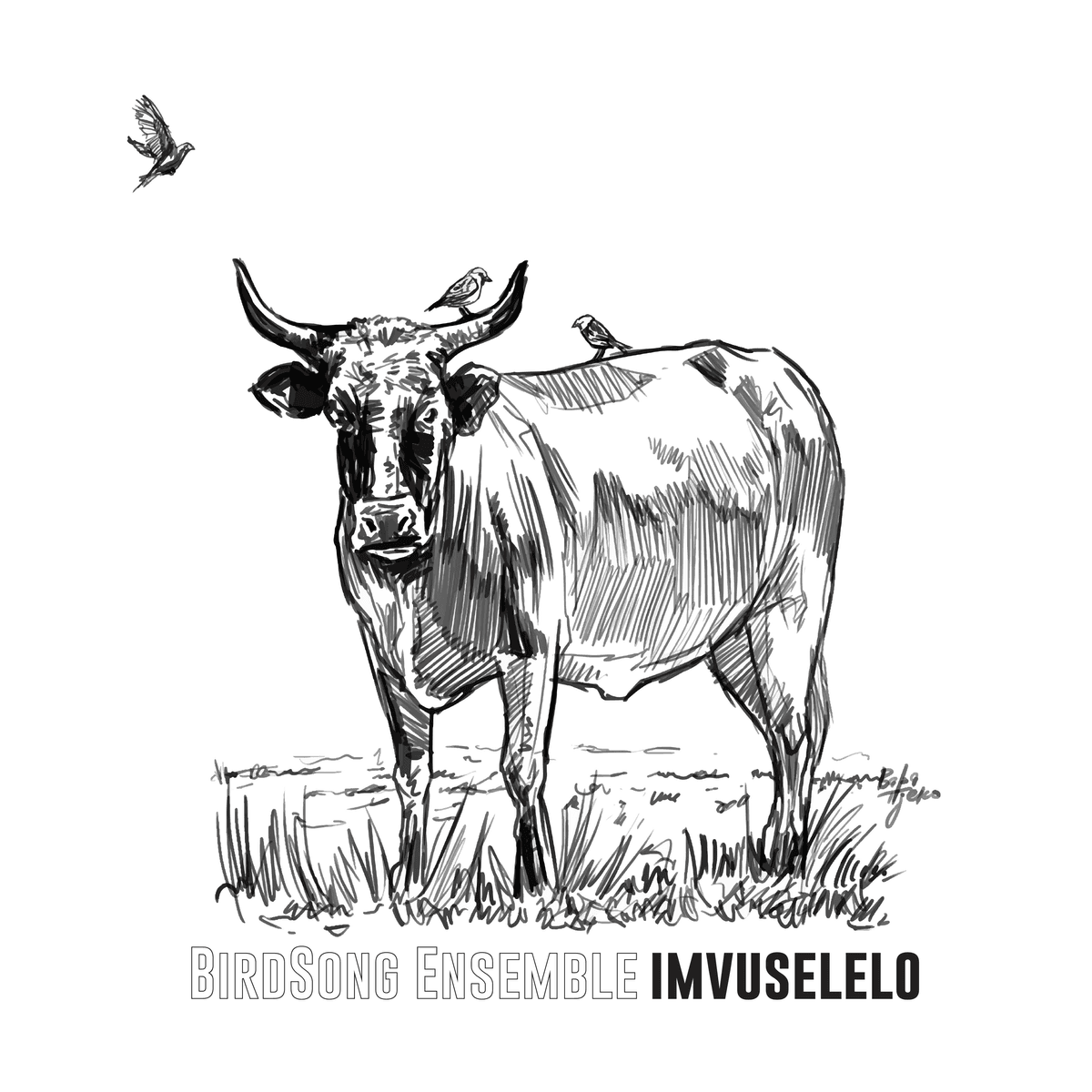Imvuselelo