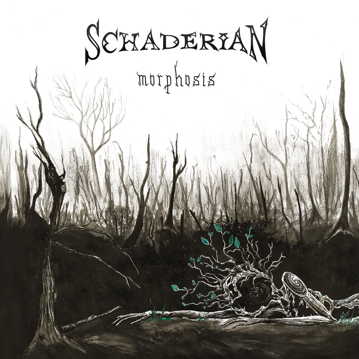 Morphosis