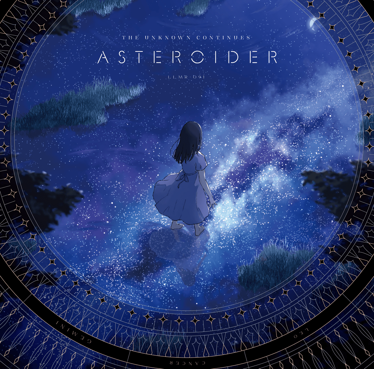 ASTEROIDER