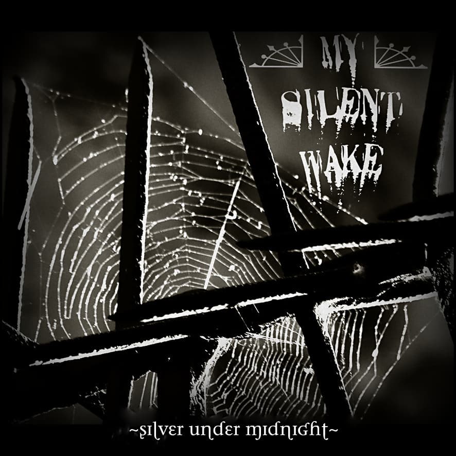 Silver Under Midnight