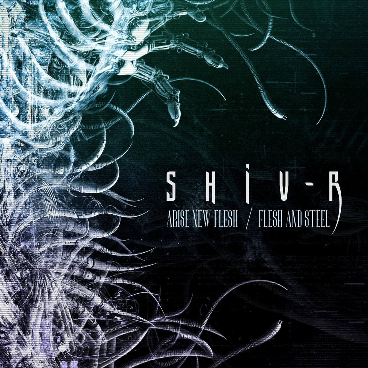 Arise New Flesh / Flesh and Steel