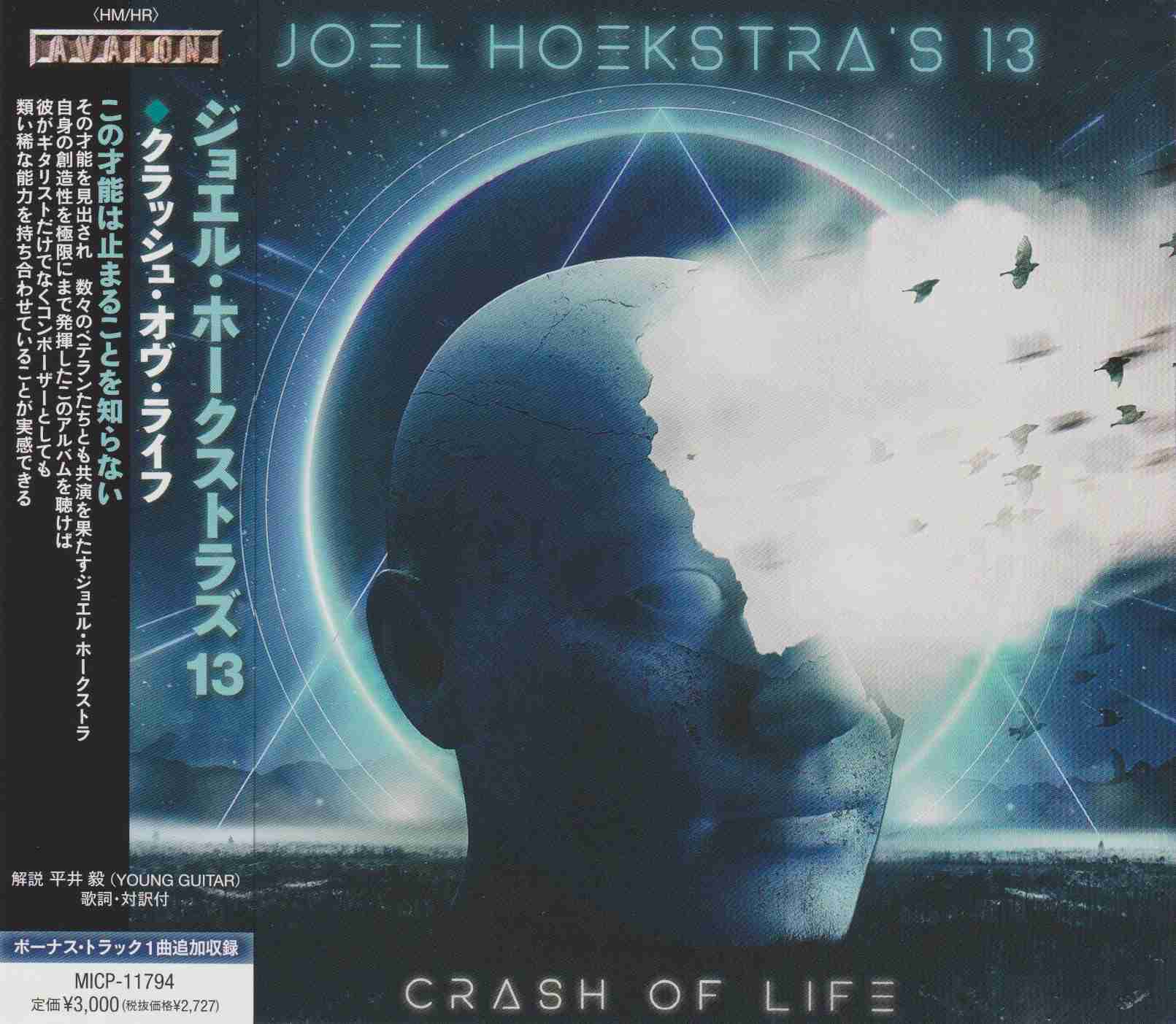 Crash of Life