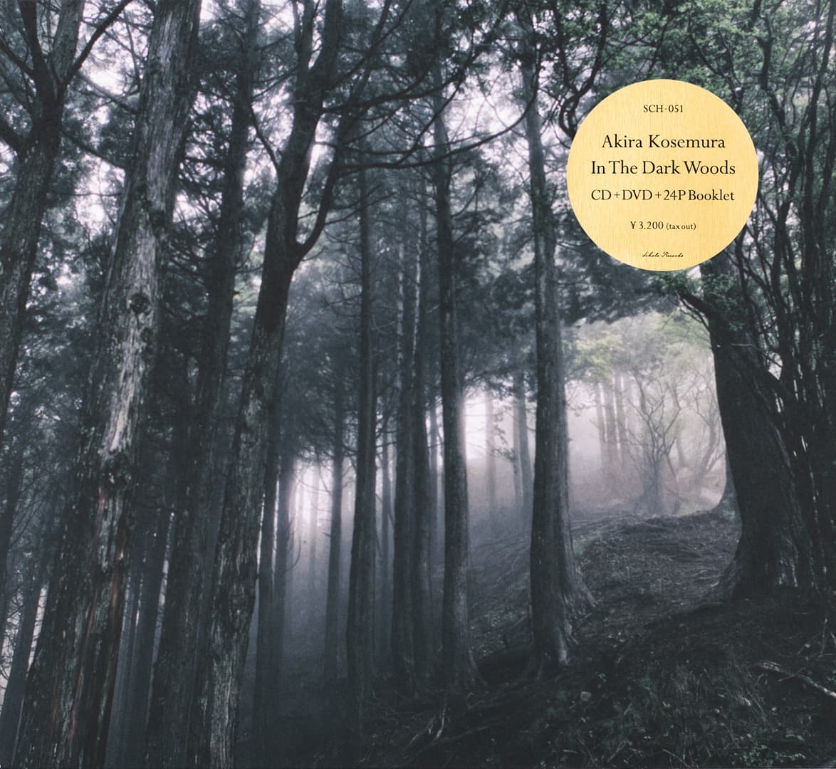 In The Dark Woods
