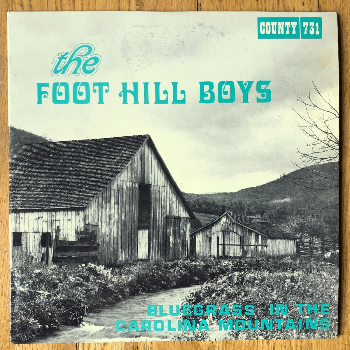 Bluegrass In The Carolina Mountains