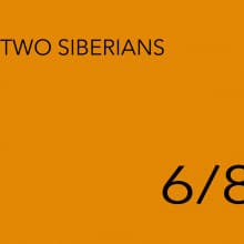 6/8