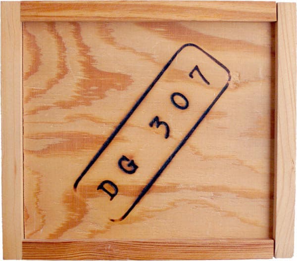 DG 307