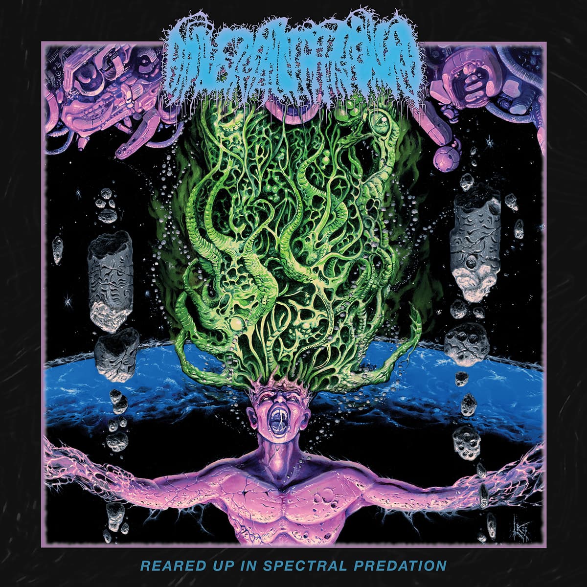 Reared Up in Spectral Predation