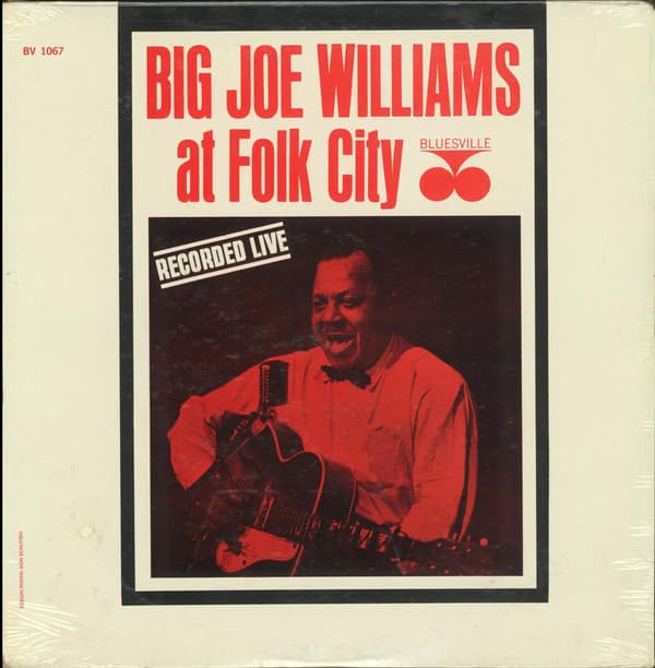 At Folk City